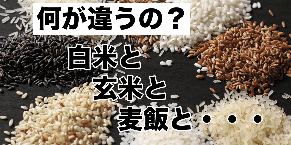 【何が違うの？】白米と玄米と麦飯と・・・